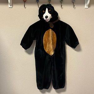 Dog Halloween costume